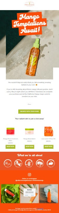 Customised Editable Email Campaign Templates