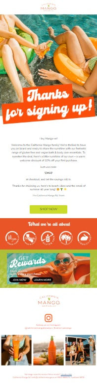 Customised Editable Email Campaign Templates